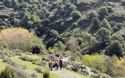 Vícar prosigue con Deporte y naturaleza con una salida a Cañada Real de Tablilla